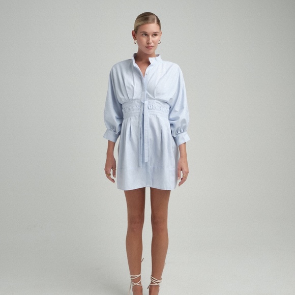 The Femm Brand New L/S Button Down Dress (Blue/White Stripe) - Picture 1 of 1